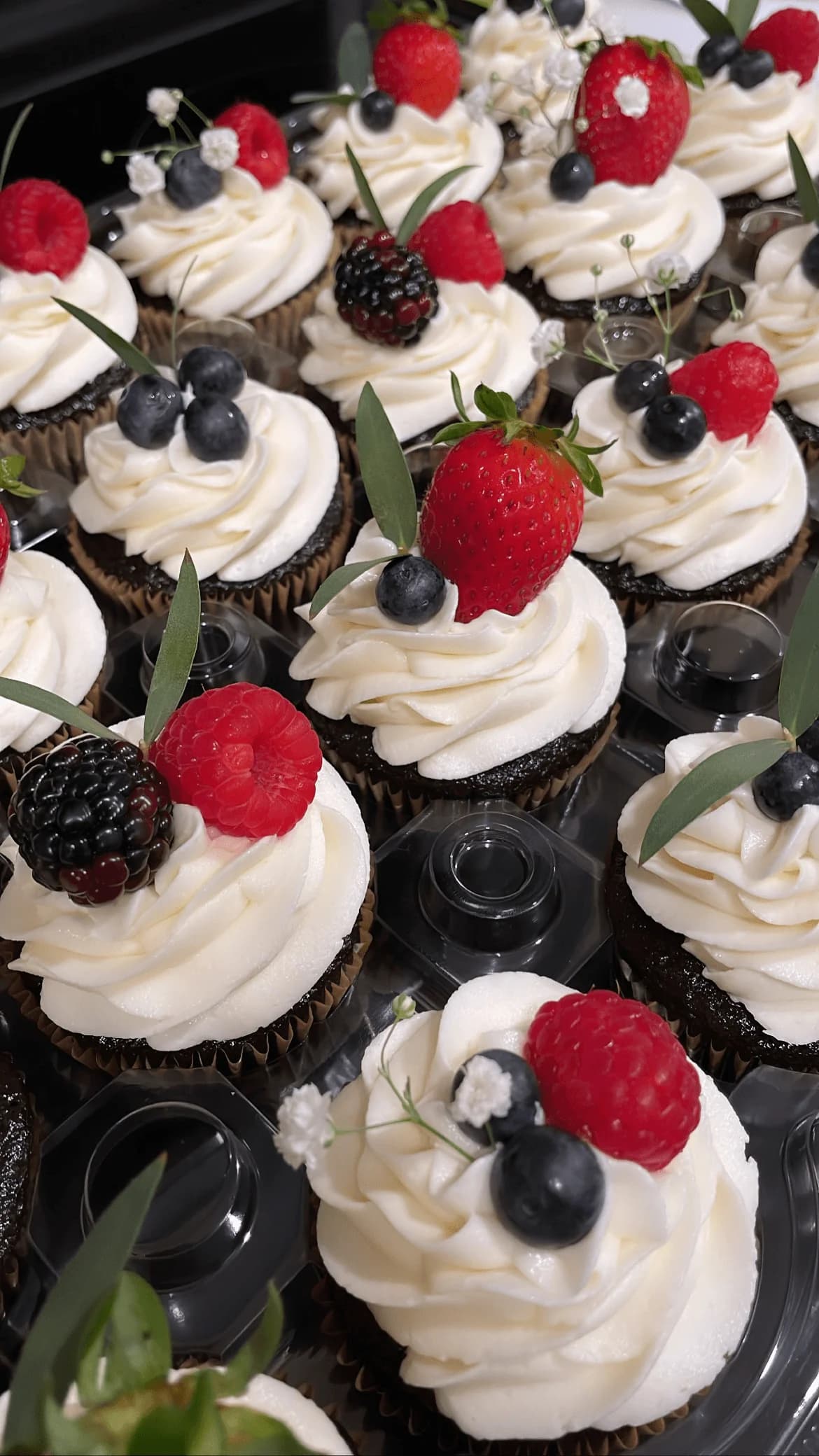 Gourmet chocolate cupcakes topped with fresh berries and cream